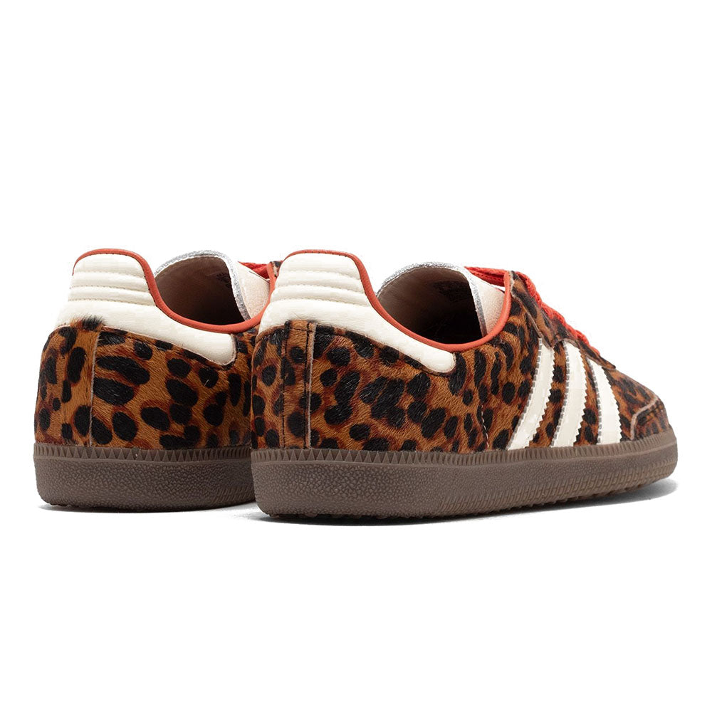 SAMBA OG PRELOVED LEOPARD