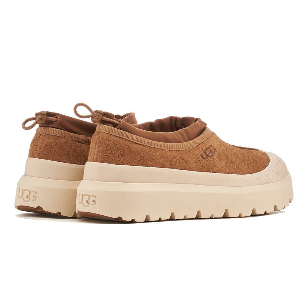 M TASMAN WEATHER HYBRID