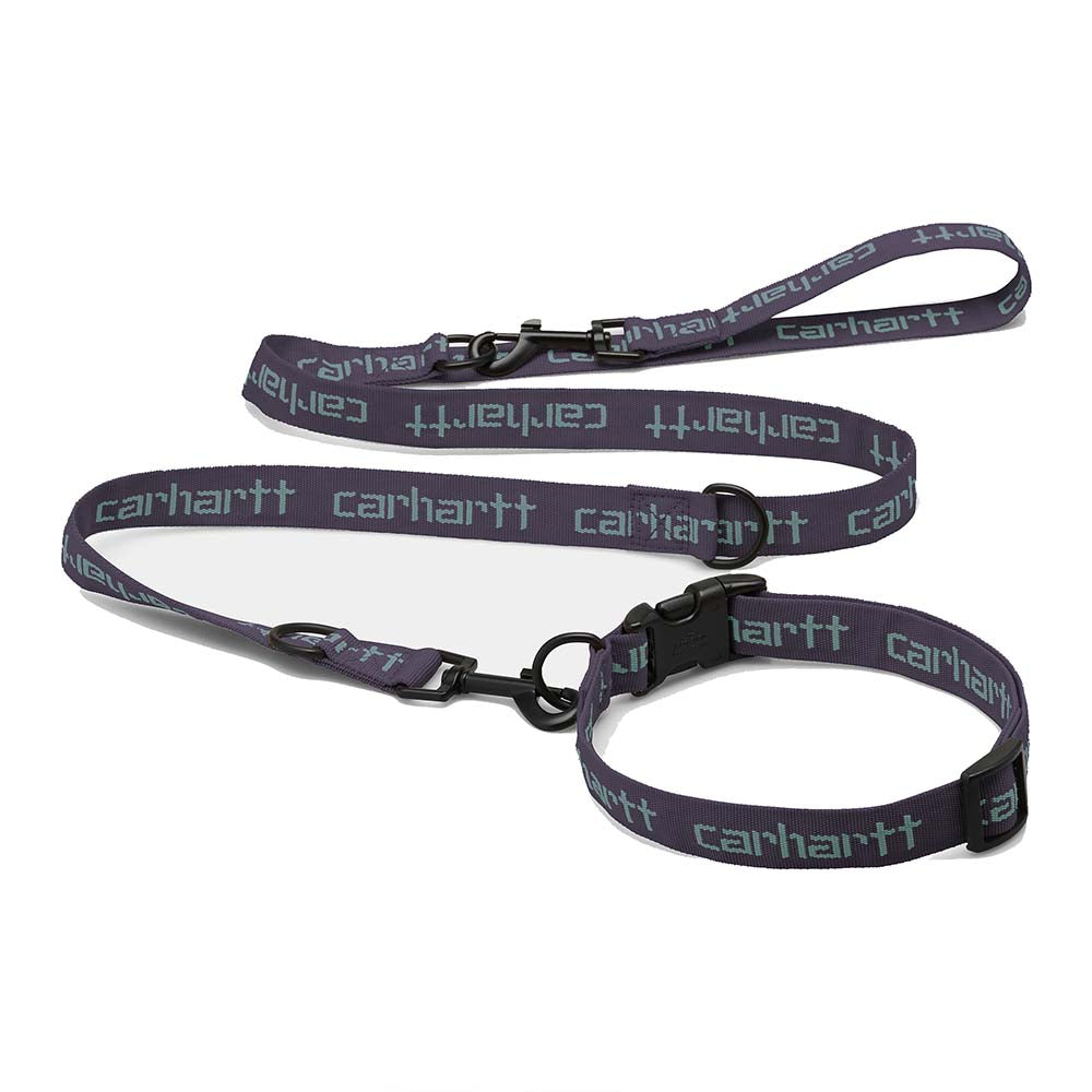 SCRIPT DOG LEASH & COLLIER