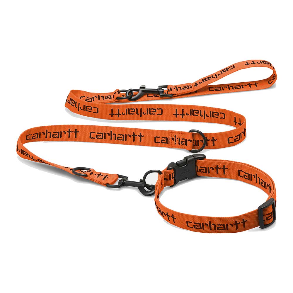 SCRIPT DOG LEASH & COLLIER