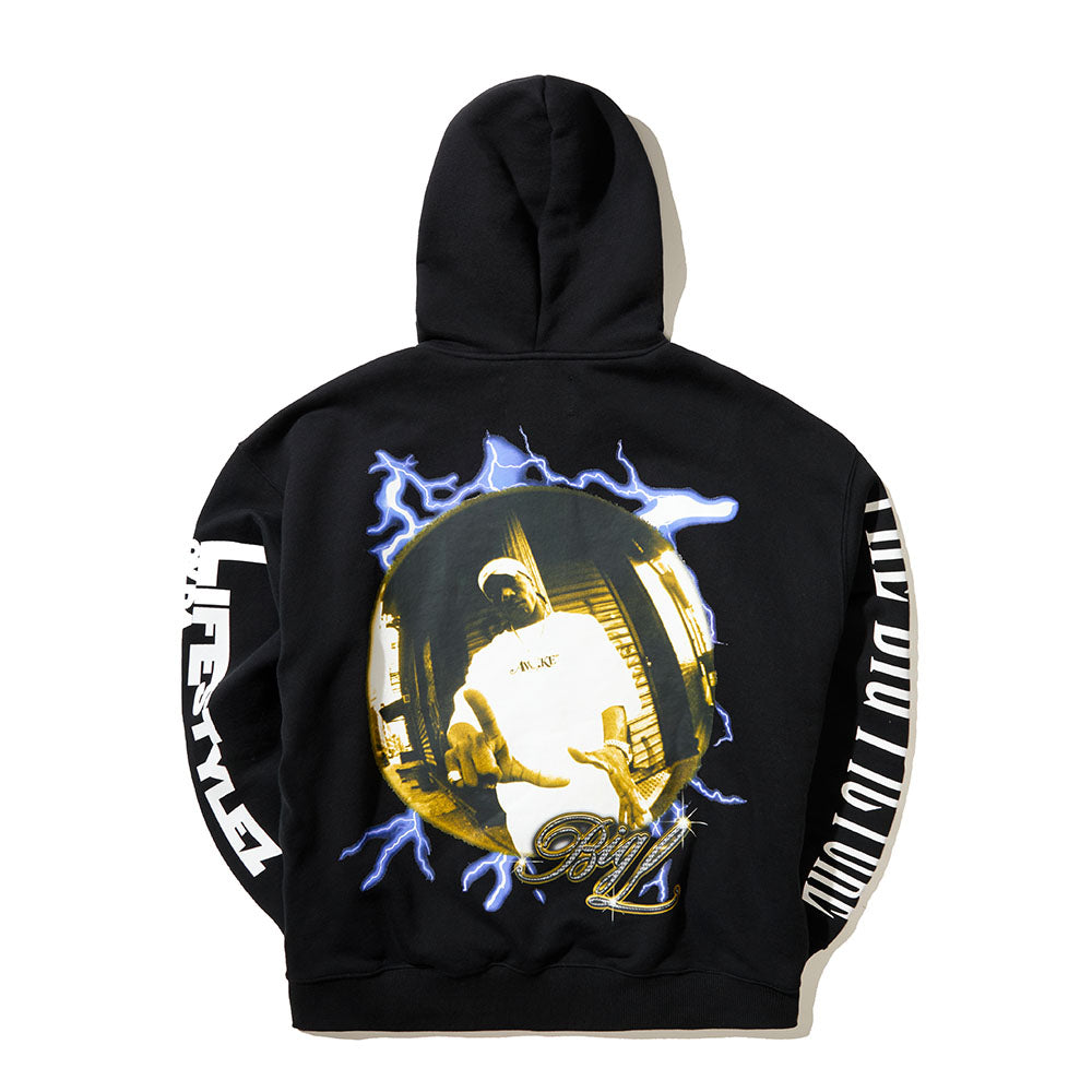 THE BIG PICTURE ZIP HOODIE
