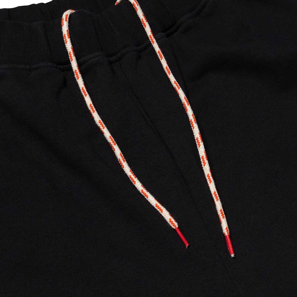 PREMIUM TEMPLE SWEATPANT